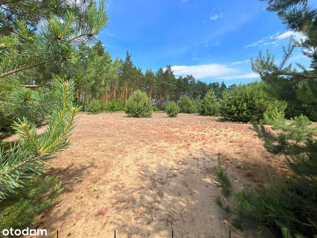 Straszewo - działka budowlana-5