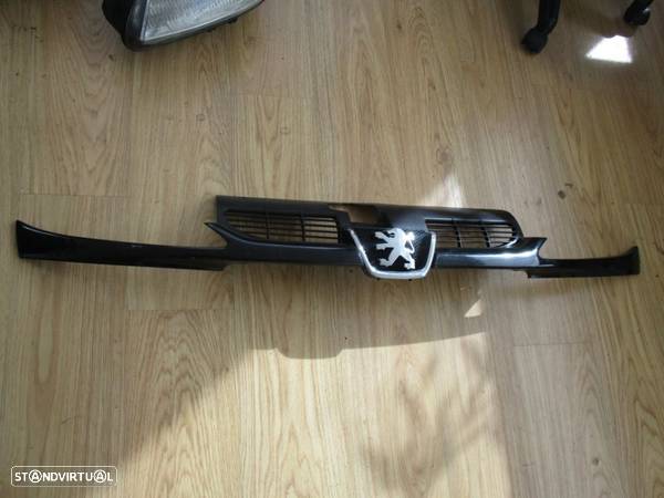 Grelha frontal peugeot 206 - 2