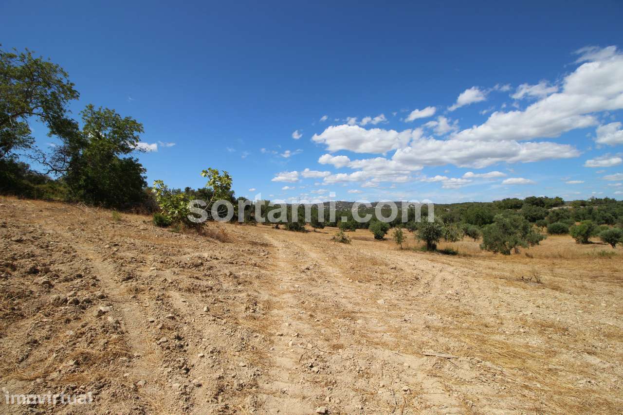 Terreno Rústico  Venda em Santa Bárbara de Nexe,Faro - Grande imagem: 5/6