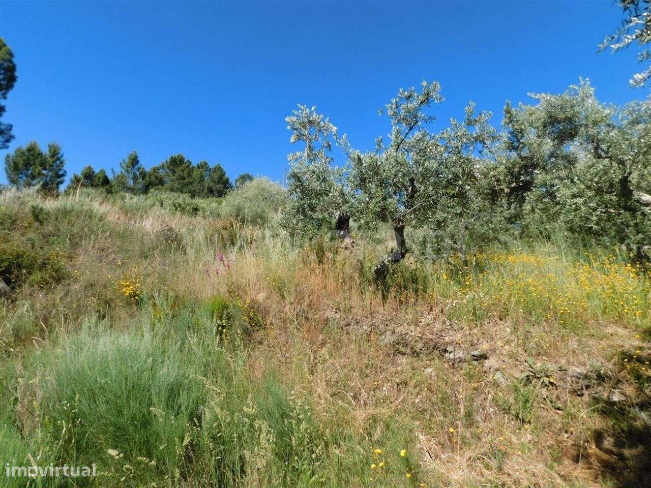 Terreno / Fundão, Silvares - Grande imagem: 3/9