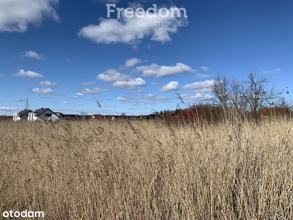 Działka inwestycyjna Wołczkowo, 2074 m², WZ - Pełny obrazek: 4/5