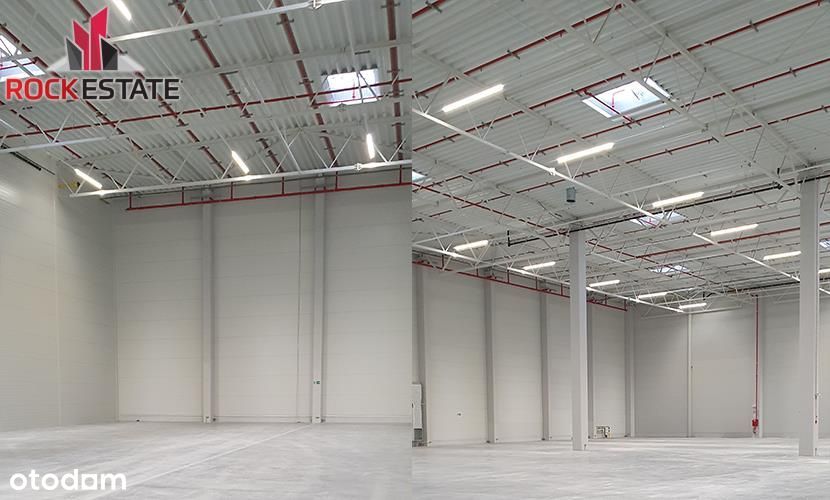 Magazyn 4500m2 Warszawa / Stary Konik przy A2