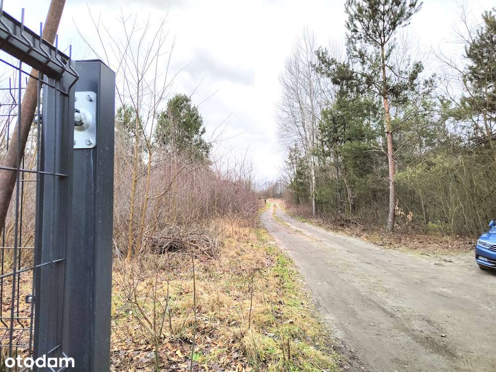 Działki z WZ o pow.  1142 m2, Klwatka Królewska, 9 km od R-mia - Pełny obrazek: 4/7