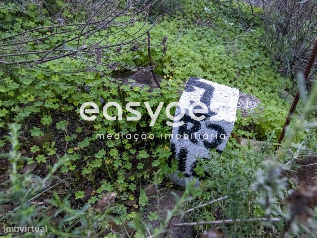 Lote de Terreno Rustico para cultura de sequeiro no Lavajo - Grande imagem: 2/11