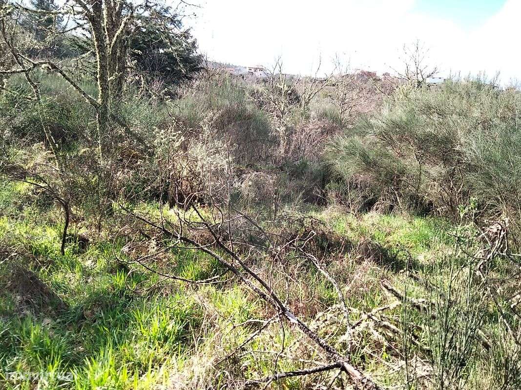 Terreno  para venda - Grande imagem: 4/9