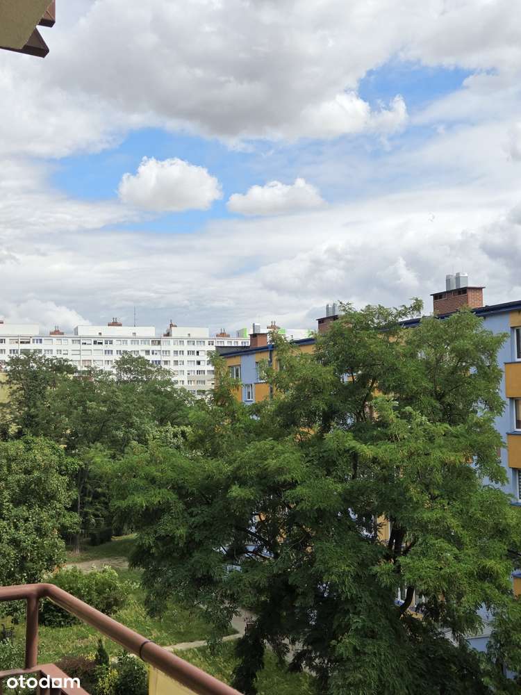 Mieszkanie z potencjałem – 3 pok. z balkonem | 69 m² | os. Kopernik-6