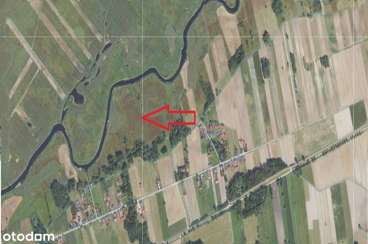 Biebrza – grunty rolne przy rzece w niskiej cenie