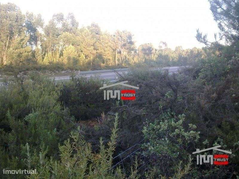 Terreno - Grande imagem: 4/6