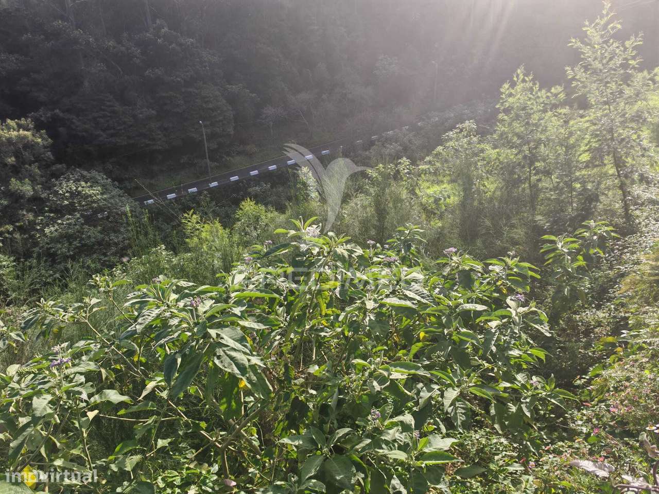 Terreno Rústico com Capacidade Construtiva – 1.740 m² | Ribeira de... - Grande imagem: 4/12