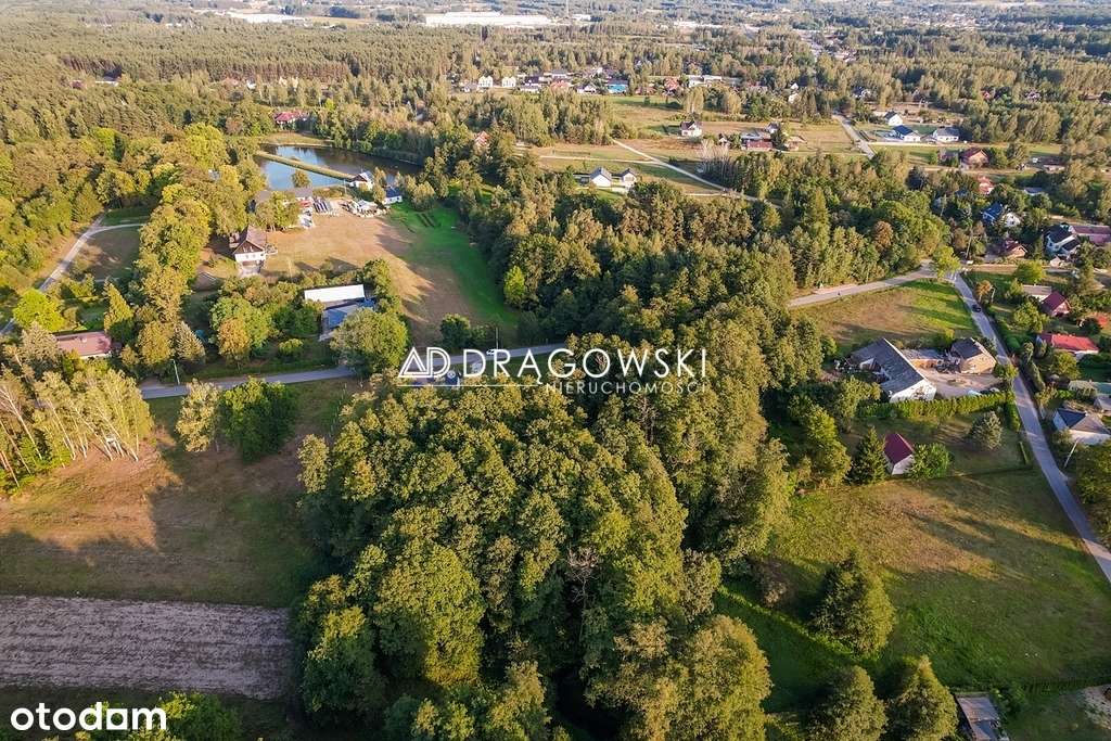 Duża działka w leśnej okolicy, Musuły, Żabia Wola-4