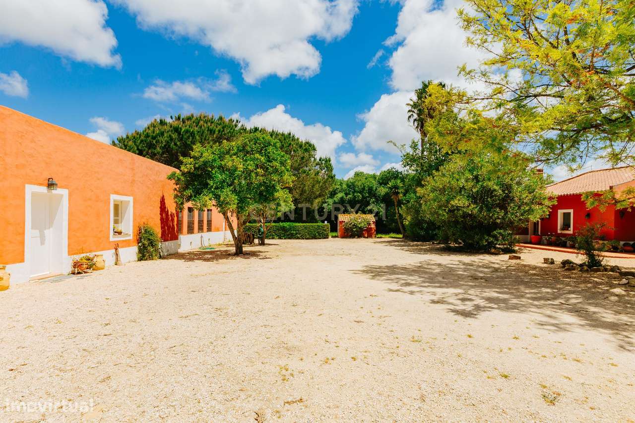 Monte Alentejano na Zambujeira do Mar - 82 ha - Grande imagem: 3/39