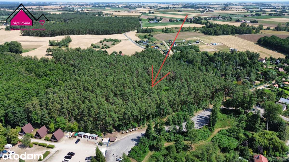 Na sprzedaż działki przy jeziorze Budzisławskim-5