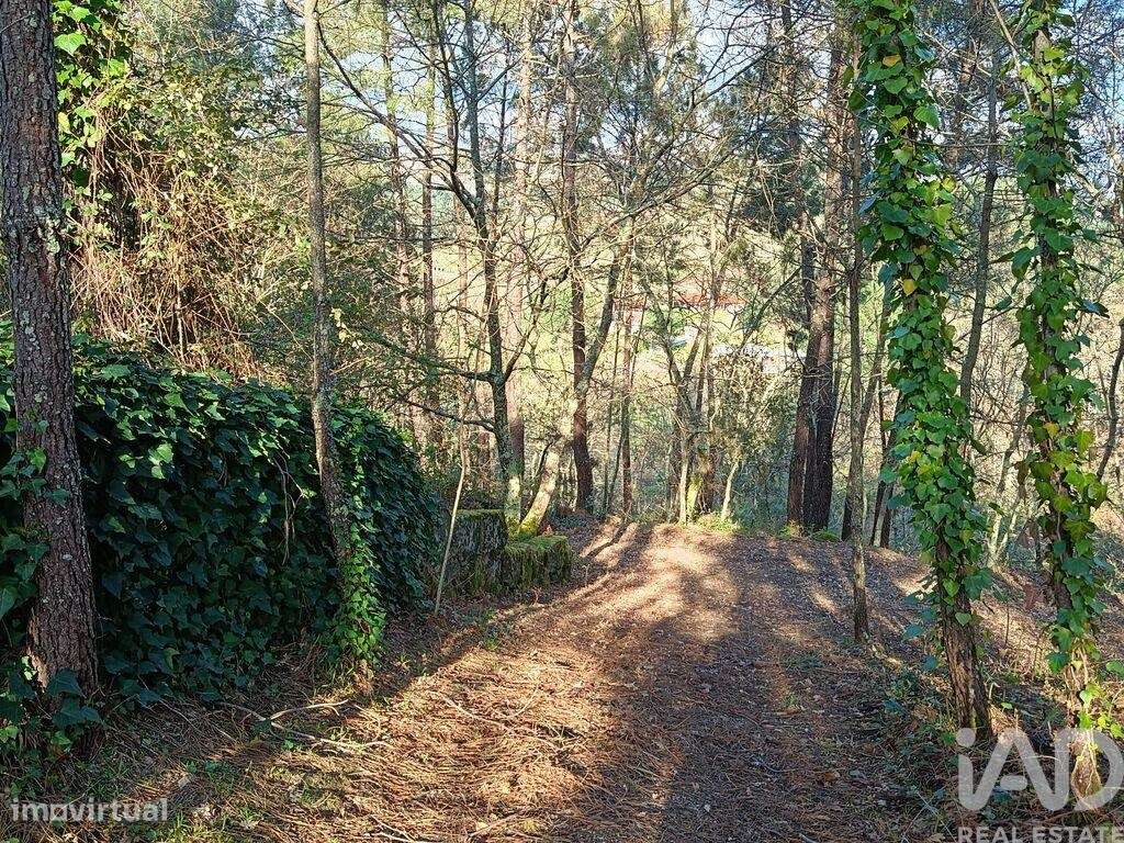 Casa / Villa T6 em Soalhães de 250 m2 - Grande imagem: 4/8