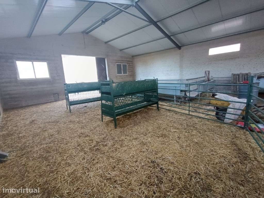 Imóvel para Queijaria - Grande imagem: 5/22