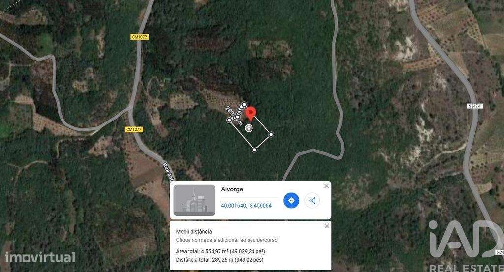 Terreno em Alvorge de 4550,00 m2 - Grande imagem: 3/9