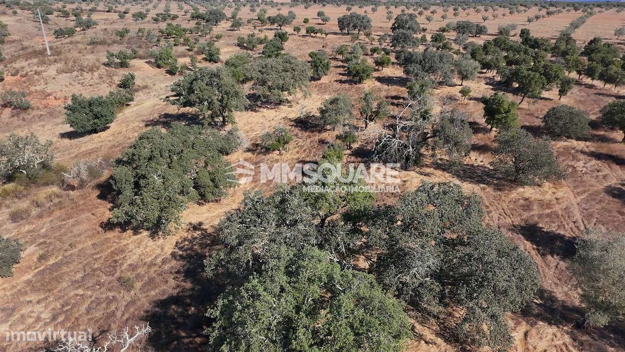 Herdade  Venda em Garvão e Santa Luzia,Ourique-26