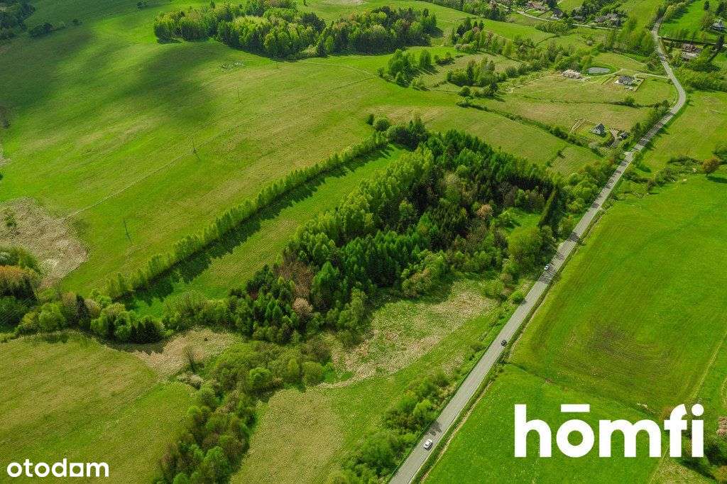 Ustrzyki Dolne - działka w Hoszowczyk! - Pełny obrazek: 4/17