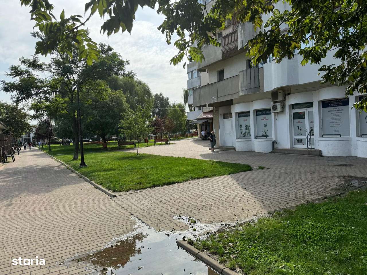 Spatiu comercial de vânzare – Centru – Dancu-2