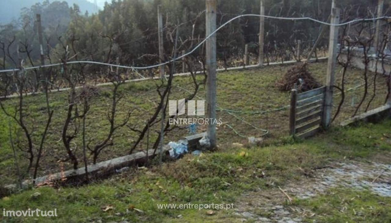 Venda Terreno, Rio de Moinhos, Penafiel