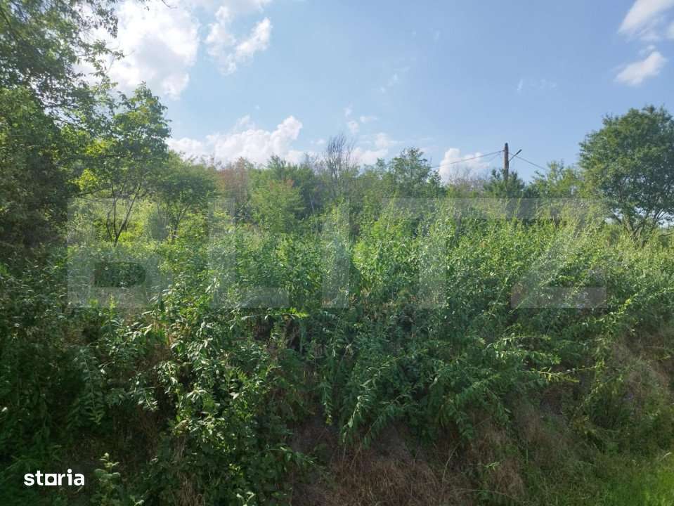 Teren, 3600mp, Drumul Vinului - Imagine principală: 3/7