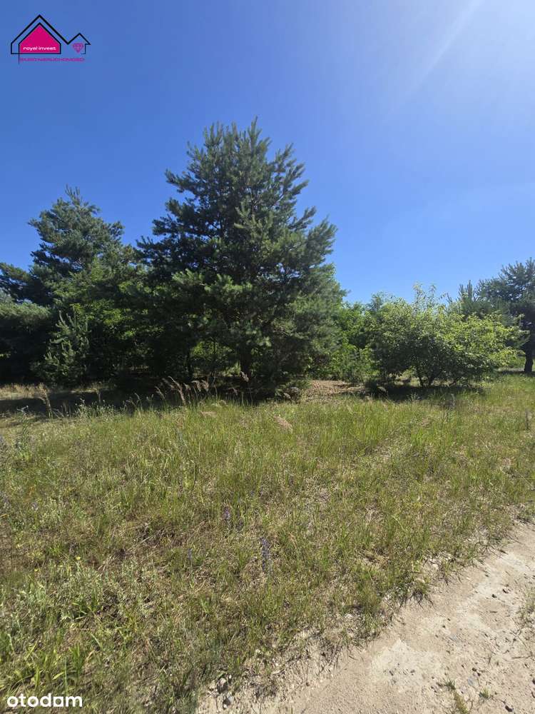 Piękna działka budowlana nieopodal lasu - Pełny obrazek: 4/6