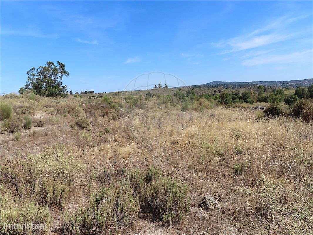 Quinta  para venda-6