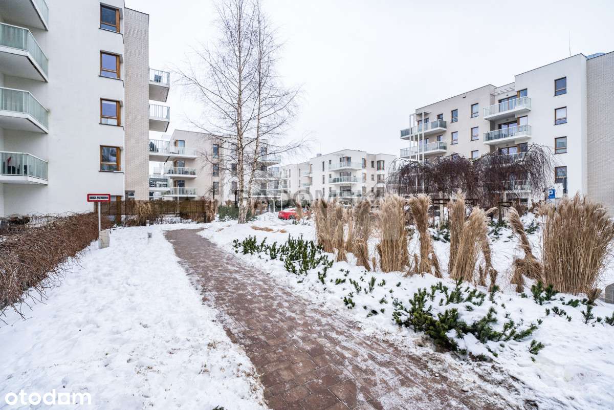 Mila Baltica - 2 pokoje z widokiem na zieleń-15