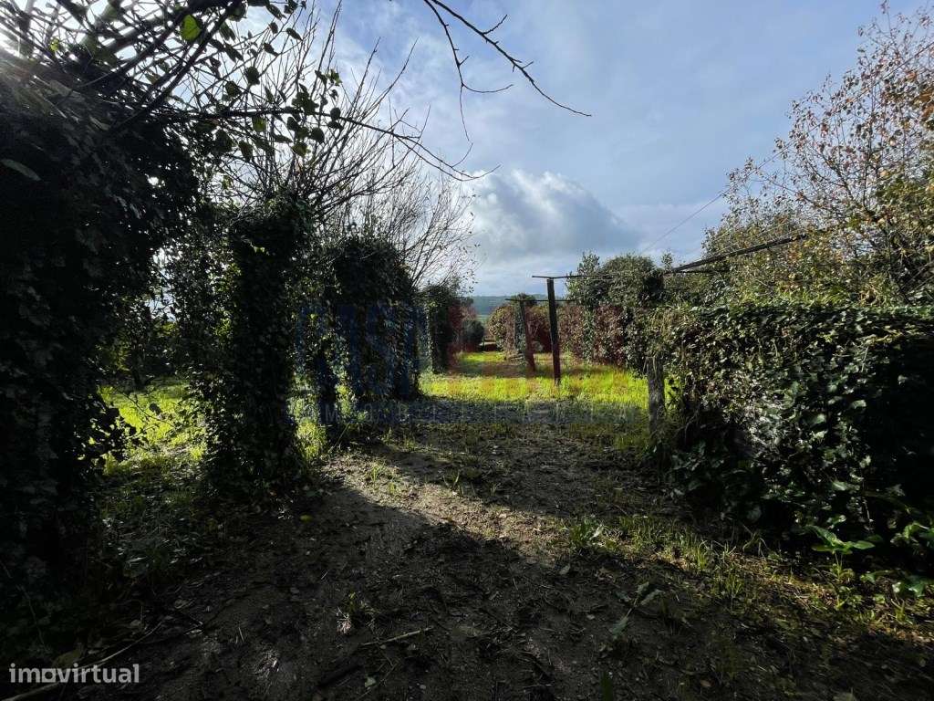 Terreno para Construção - São Pedro de Rates-3