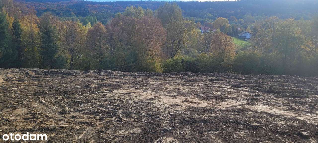 Działka budowlana 15ar Zakrzów - Pełny obrazek: 5/7