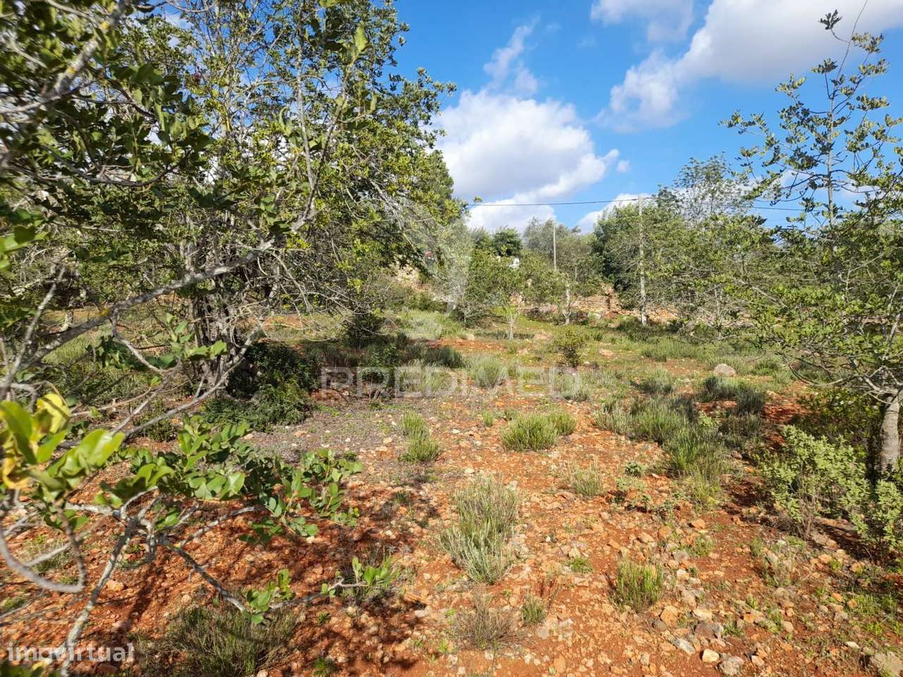 Terreno com projeto pata 9 moradias V3,localizado em Funchais da Tor - Grande imagem: 2/18