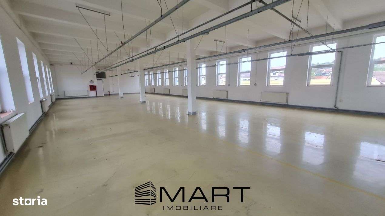 Spatii de inchiriat – Depozitare | Productie | Birouri Cisnadie - Imagine principală: 4/11