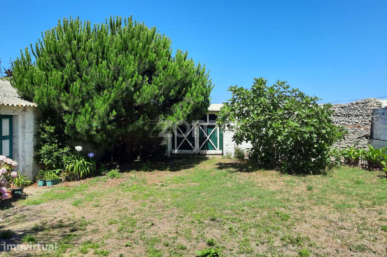 T10 no melhor Sitio da Nazaré-19