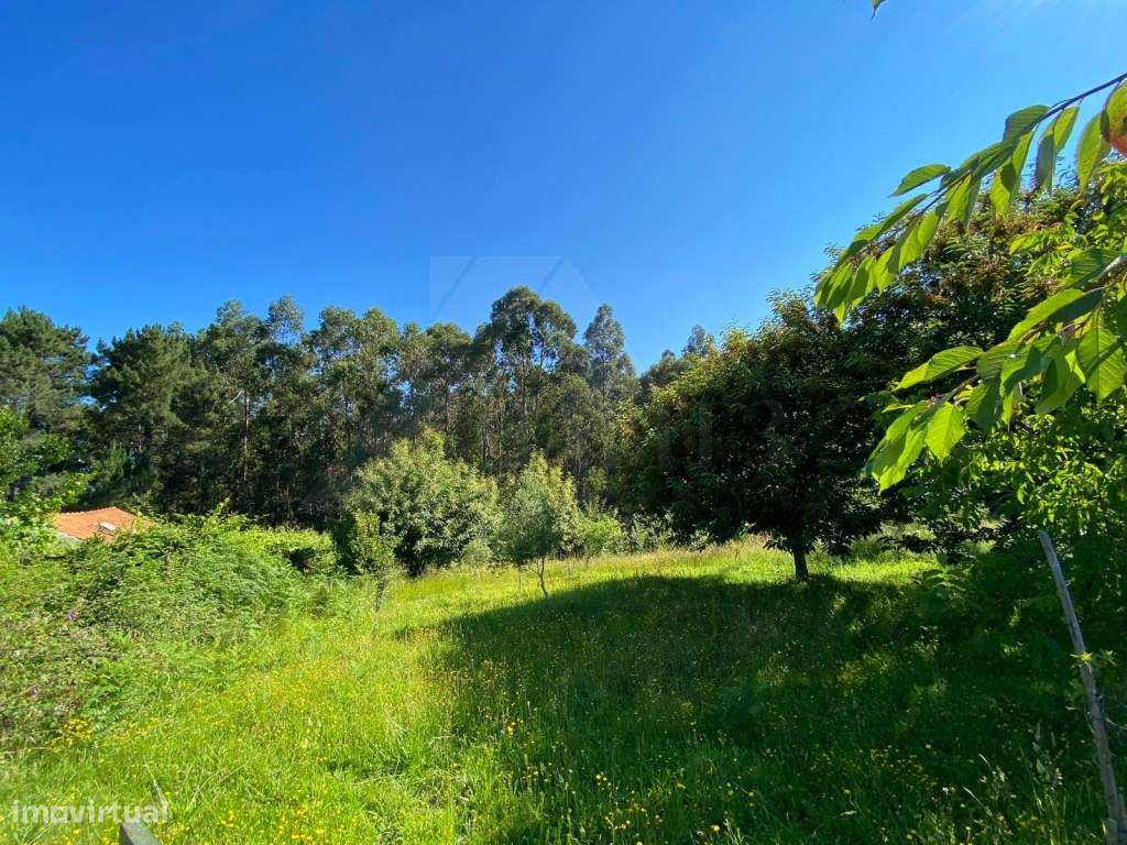 Excelente terreno para construção - Grande imagem: 3/9