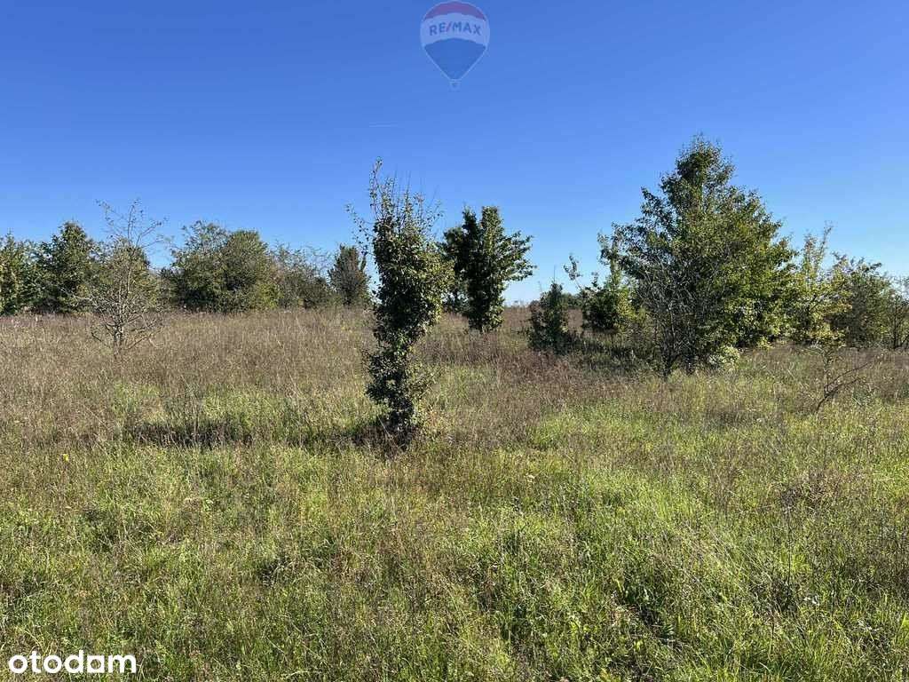 Działka na Mazurach - 3 chwile do jeziora - Pełny obrazek: 4/18