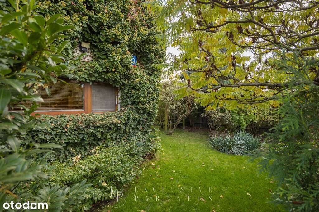 Klimatyczny dom w Wilanowie skąpany w zieleni!-14