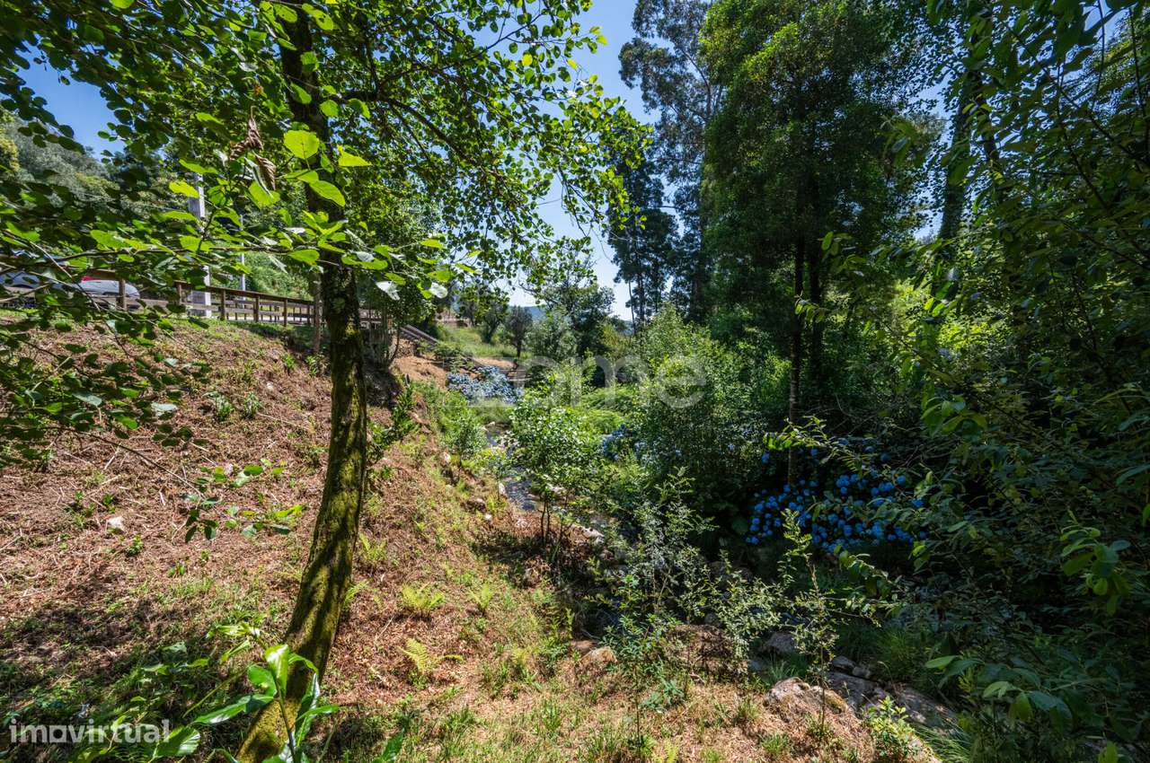 Ruína para Reabilitação junto às Cascatas da Labruja | Ponte de Lim...-17