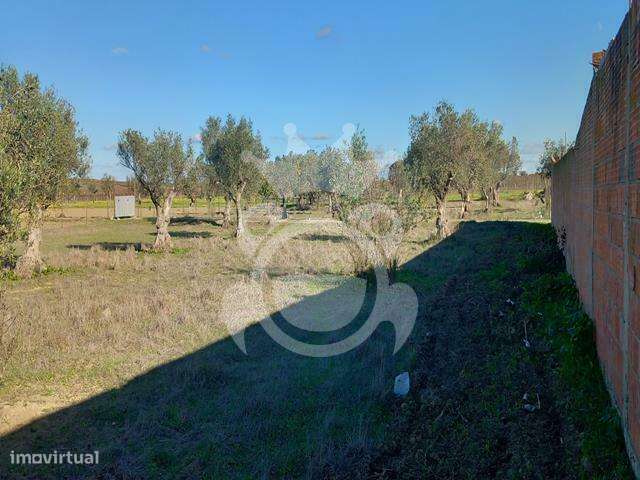 Terreno Rústico em Reguengos de Monsaraz - Grande imagem: 2/9