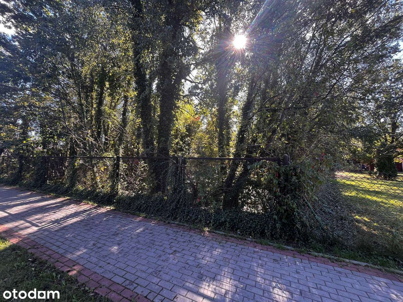 Działka 2376 m² z MPZP – Międzyborów media.-3