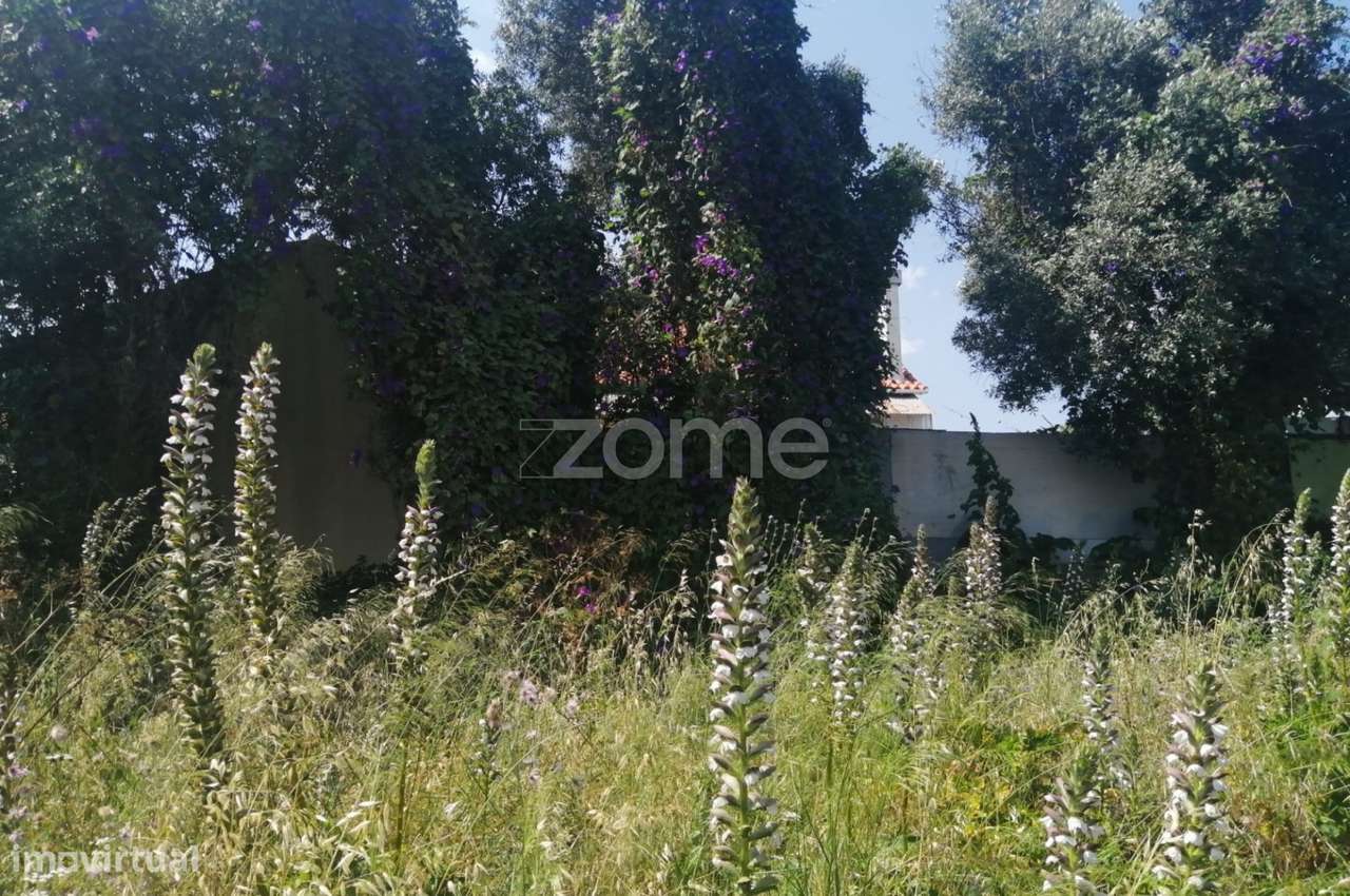 Terreno Urbano | 817 m2 | Lugar da Presa, Pontinha - Grande imagem: 4/15