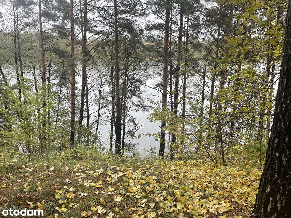 Siedlisko - Pełny obrazek: 5/11