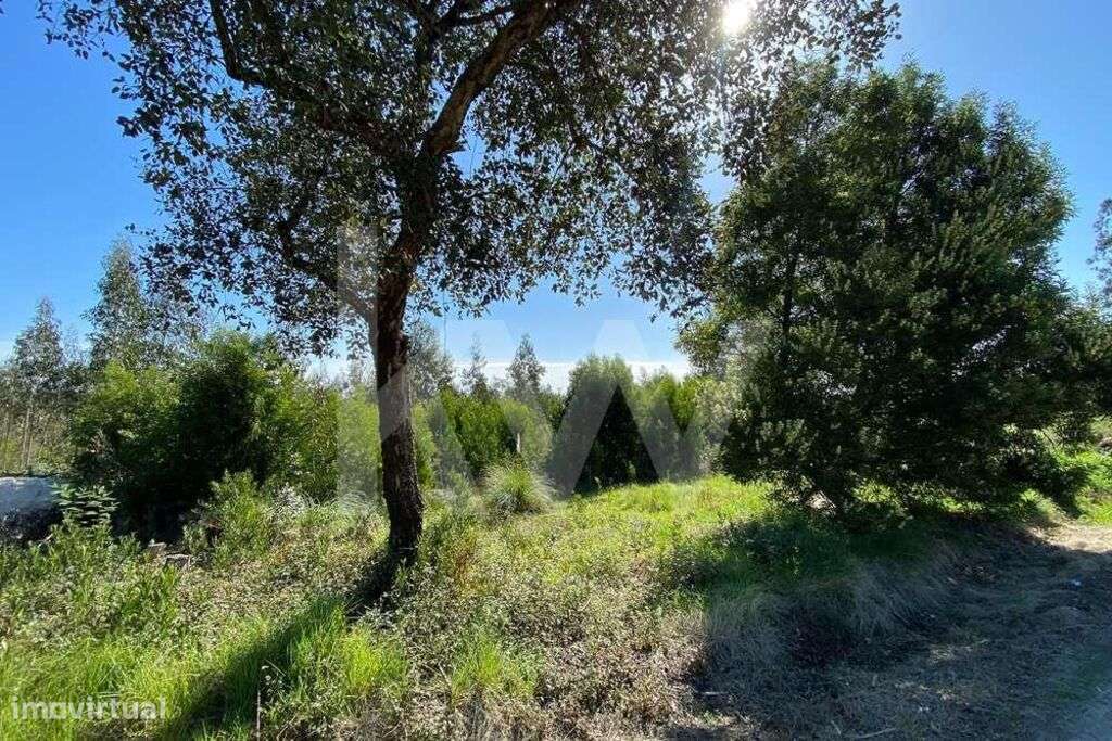 Terreno Quintãs | Oliveirinha | 4200m2 | Urbanizável - Grande imagem: 4/15