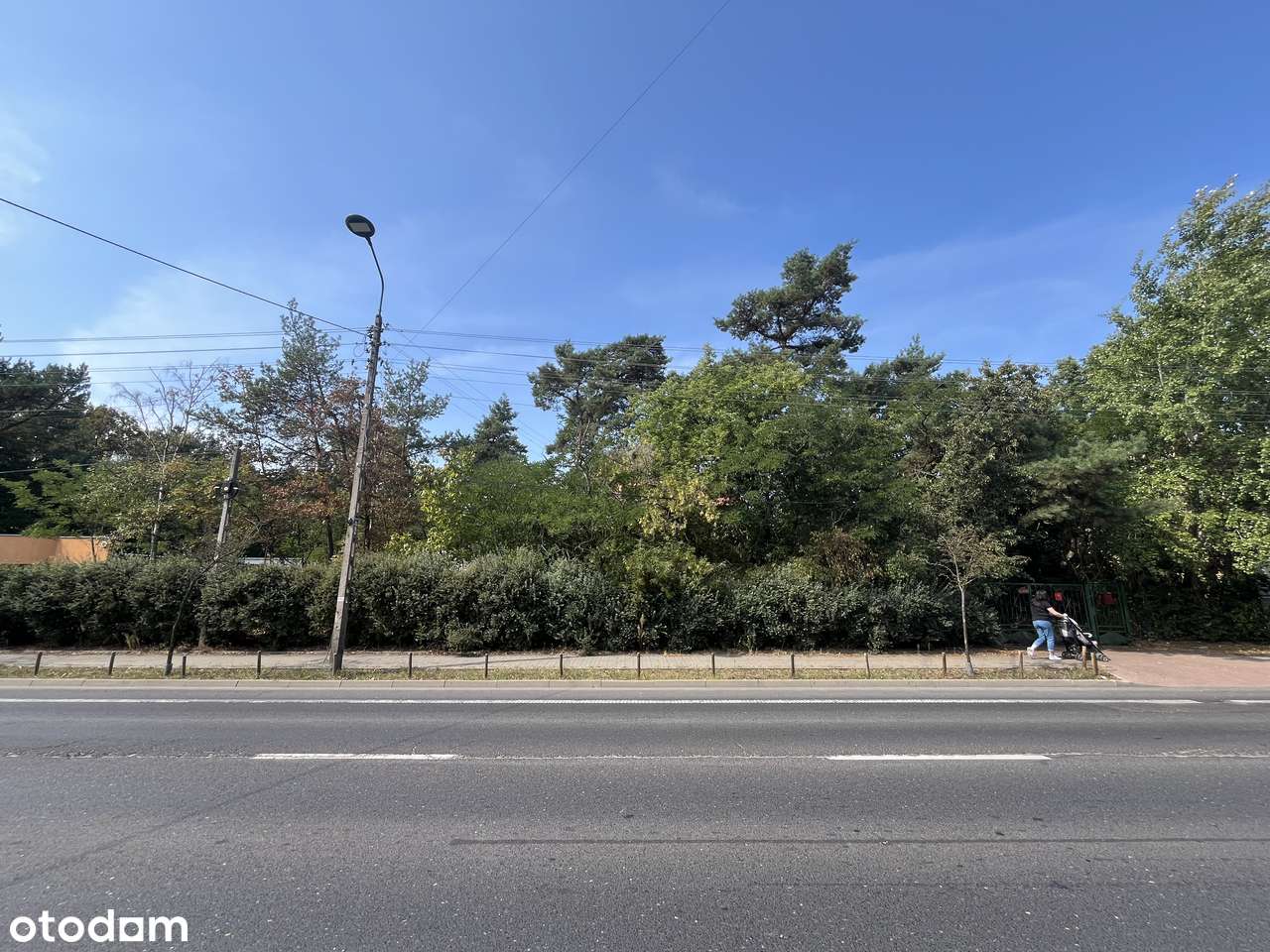 Działka z warunkami zabudowy w centrum Wesołej – pod dom lub usługi - Pełny obrazek: 3/8