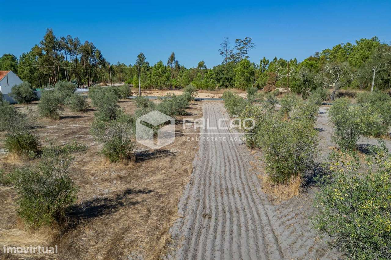 Moradia T3+2 Venda em Grândola e Santa Margarida da Serra,Grândola-26