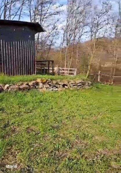 Schimb teren 9555 mp cu garsoniera - Imagine principală: 5/6