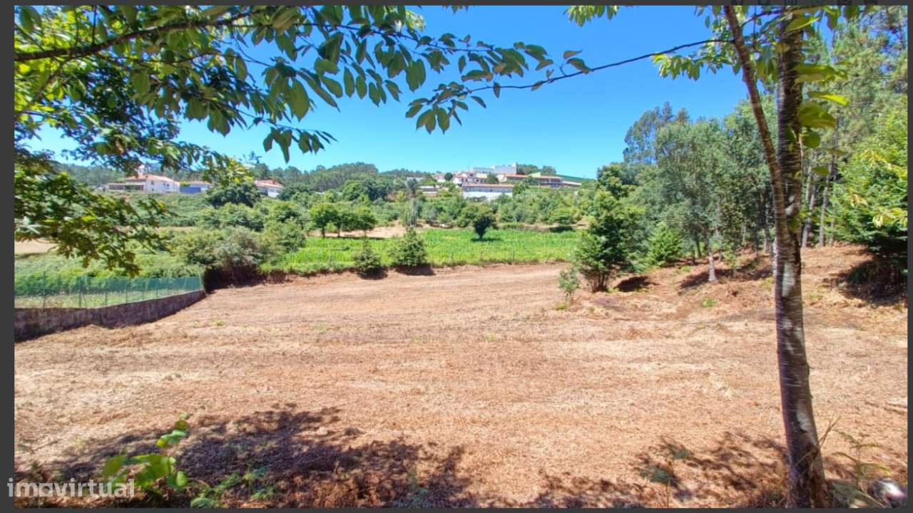 Terreno c/ projeto - Vale de Cambra-17