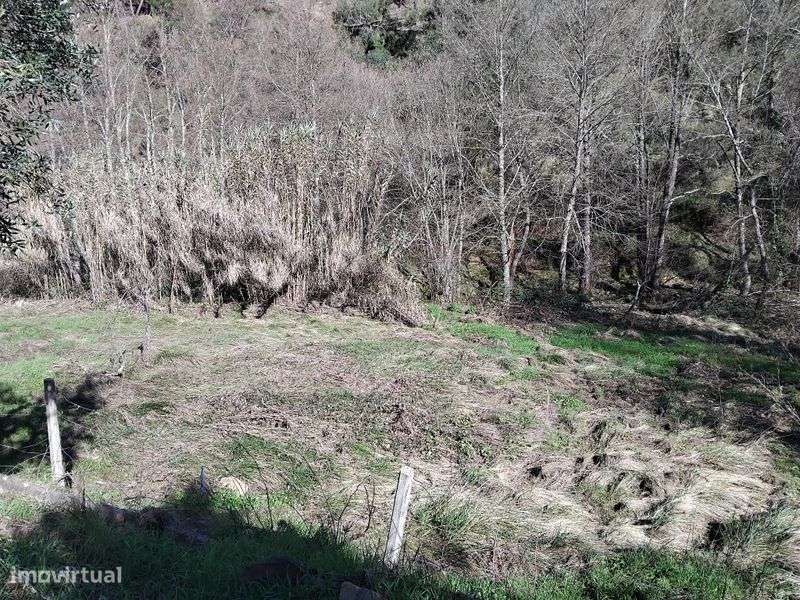 Terreno a beira da ribeira! - Grande imagem: 5/7