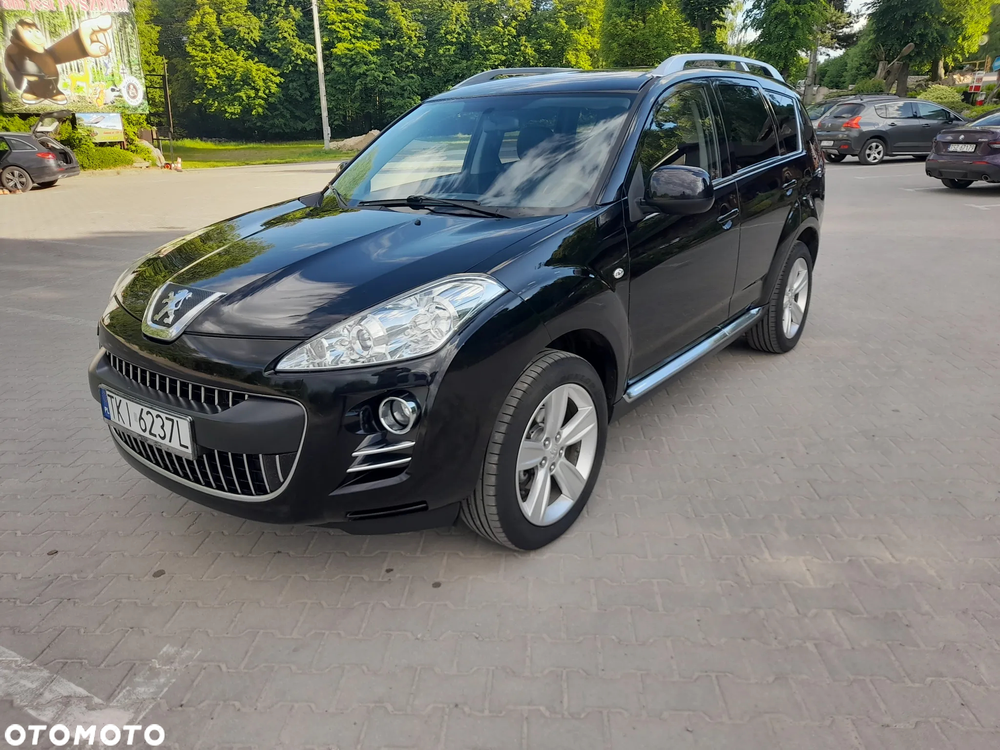 Peugeot 4007 2.2HDi Platinum - 10