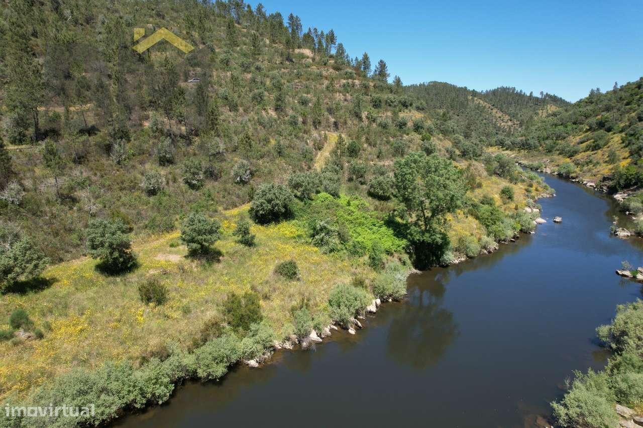 Terreno Rústico  Venda em Sarzedas,Castelo Branco - Grande imagem: 4/14