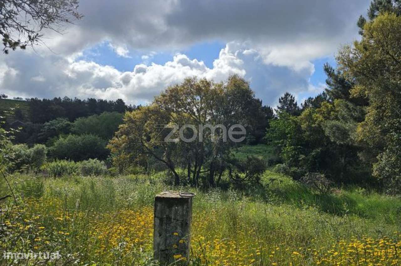 Terreno, 39 100 m², Favaios-19