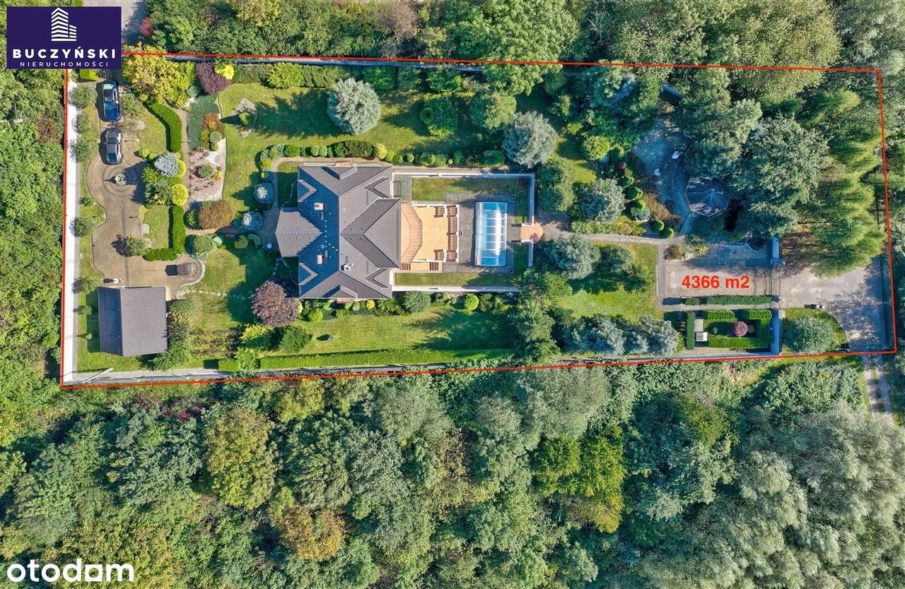 Skorzystaj z Okazji! - Pełny obrazek: 5/20